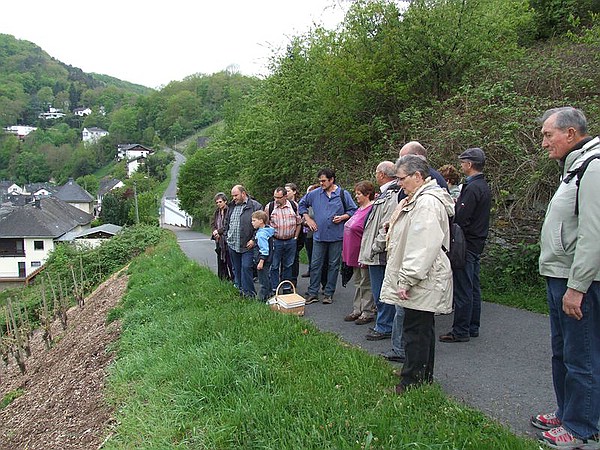 Weinwanderung 2010