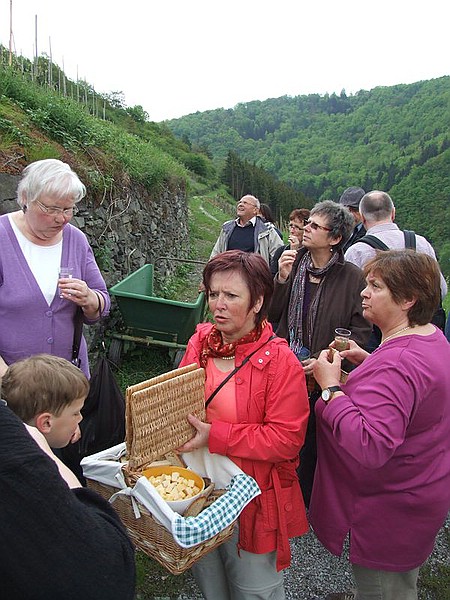 Weinwanderung 2010