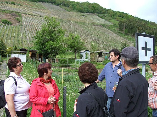 Weinwanderung 2010